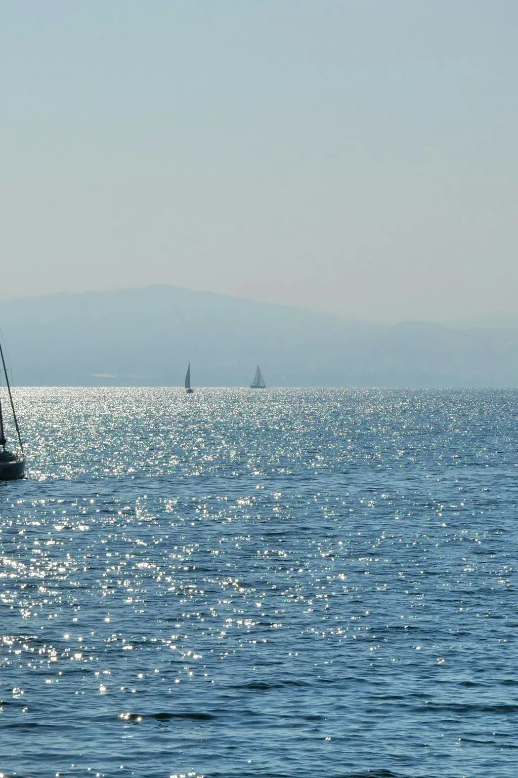 Segelboote auf dem Bodensee im weichen Nachmittagslicht